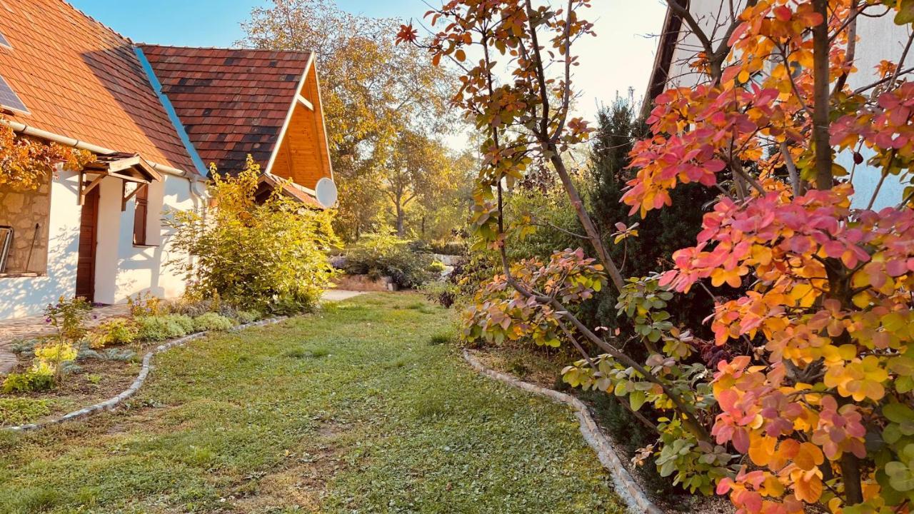 Vitamin B63 Vendégház Boldogkováralja Exterior foto