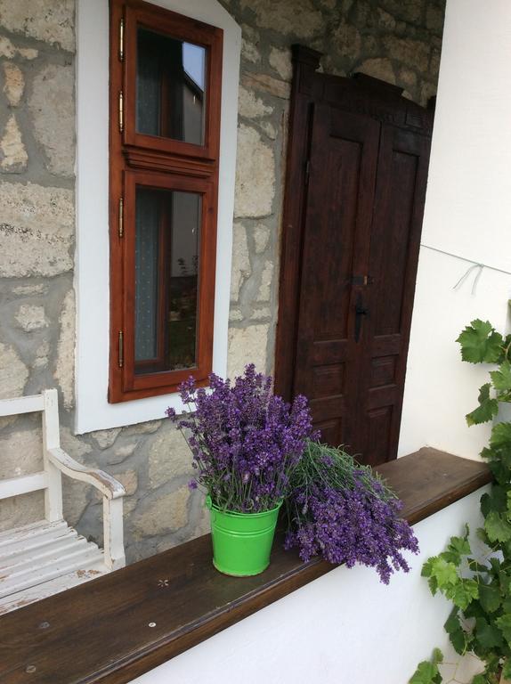 Vitamin B63 Vendégház Boldogkováralja Exterior foto