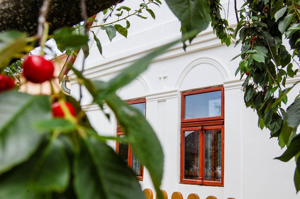 Vitamin B63 Vendégház Boldogkováralja Exterior foto