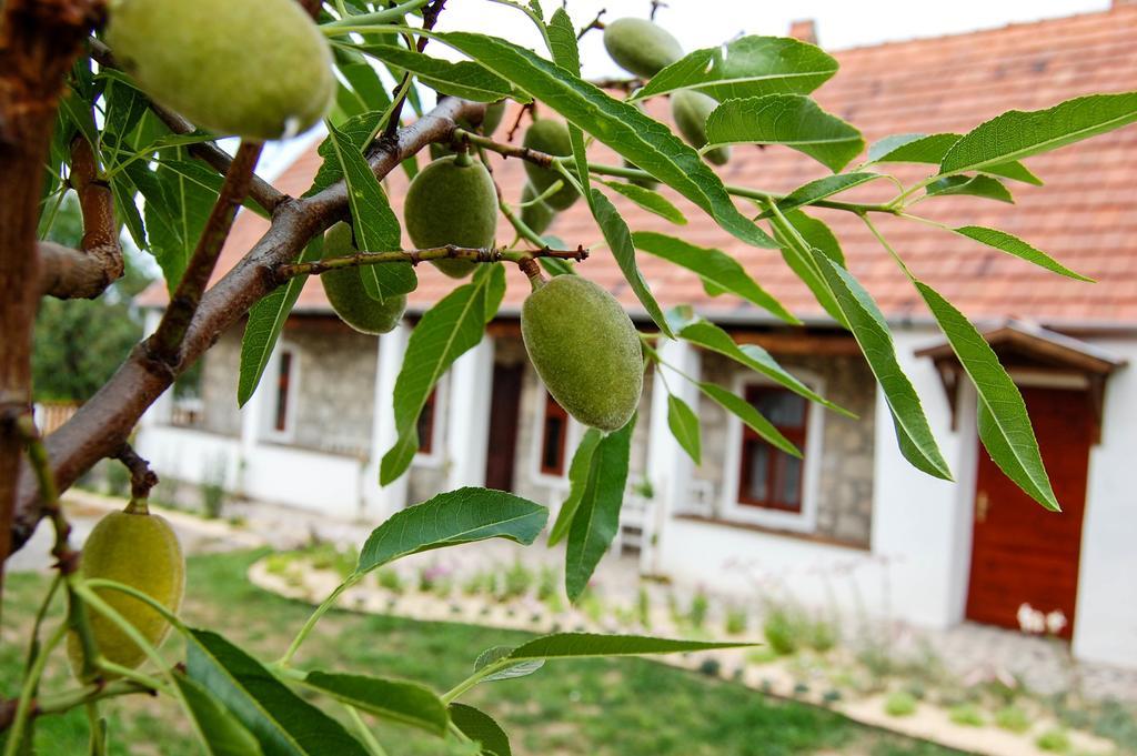 Vitamin B63 Vendégház Boldogkováralja Exterior foto