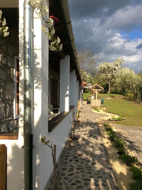 Vitamin B63 Vendégház Boldogkováralja Exterior foto