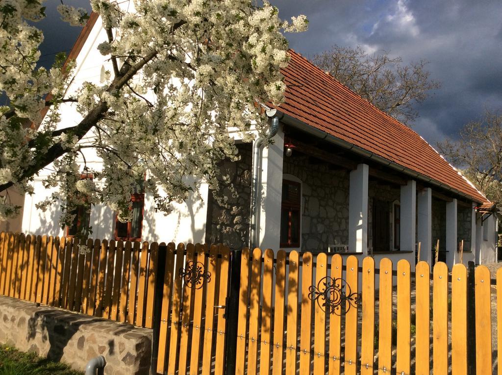 Vitamin B63 Vendégház Boldogkováralja Exterior foto
