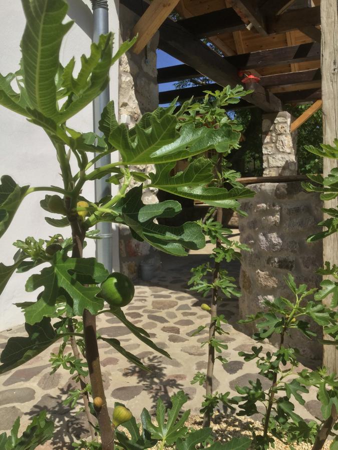 Vitamin B63 Vendégház Boldogkováralja Exterior foto