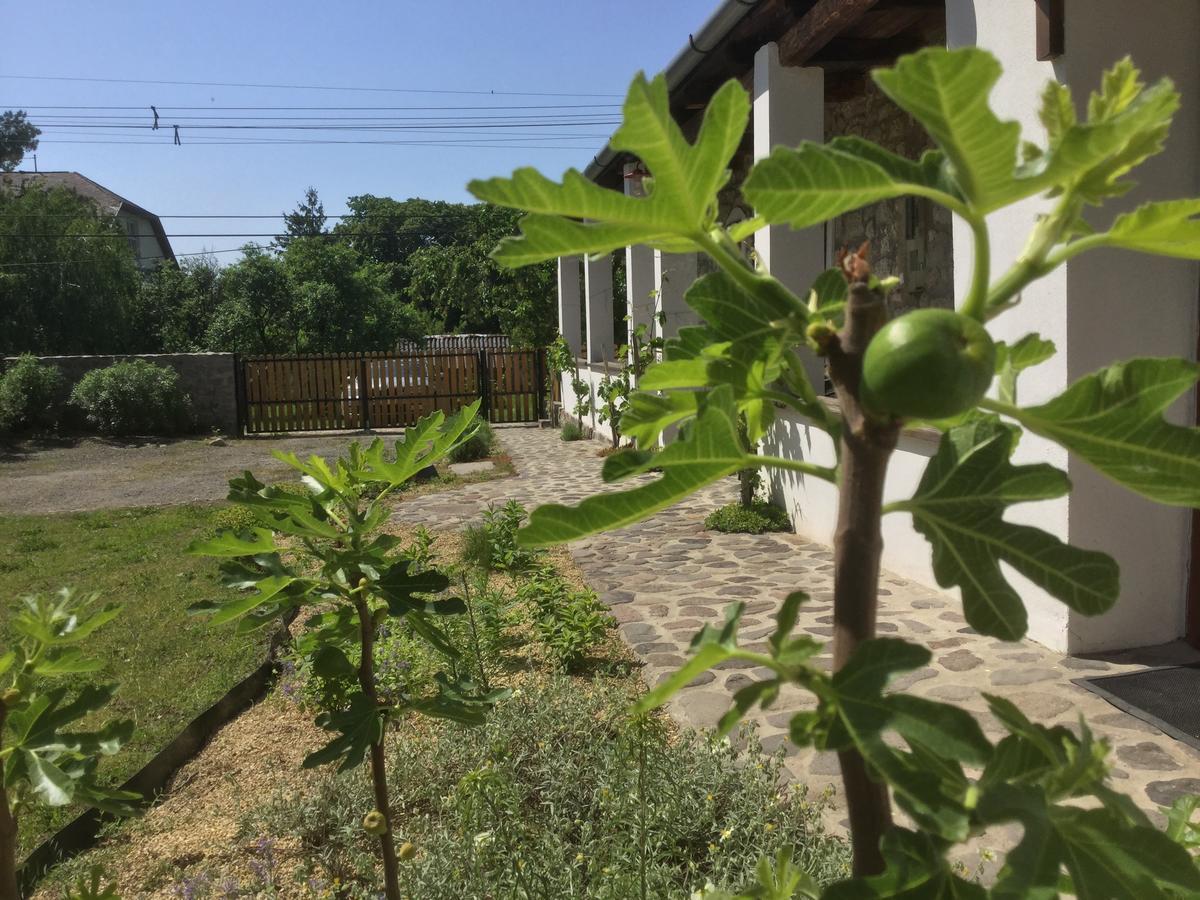 Vitamin B63 Vendégház Boldogkováralja Exterior foto